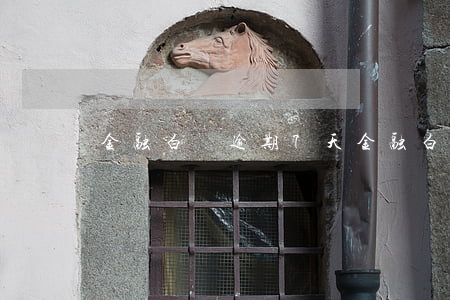金融白條逾期7天(金融白條逾期一天怎么辦)
