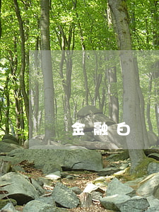 金融白條逾期什么意思(白條會逾期嗎)