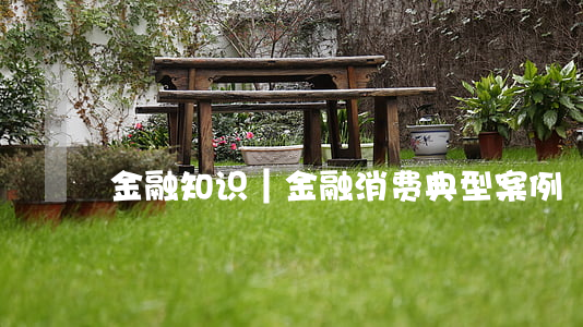 金融知识｜金融消费典型案例