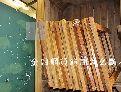 金融網貸逾期怎么顯示(網貸逾期信息)