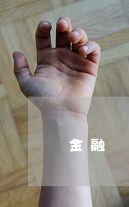 金融詐騙罪(金融詐騙罪)