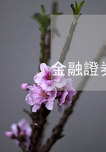 金融證券論文