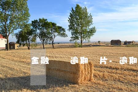 金融負債逾期圖片-逾期貸款圖片