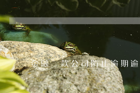 金融貸款公司防止逾期(逾期貸款管理措施)