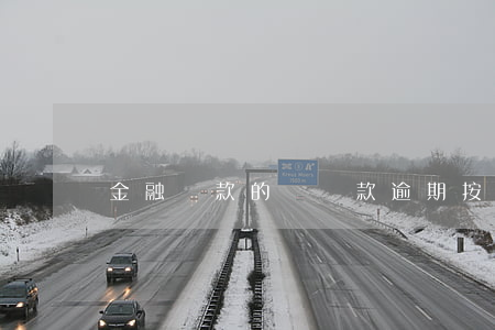 金融貸款的車貸款逾期(按揭車貸逾期會怎樣)
