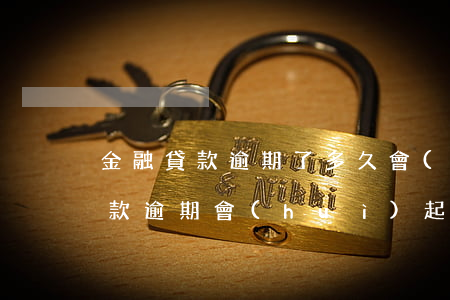 金融貸款逾期了多久會(huì)被起訴(貸款逾期會(huì)起訴嗎)