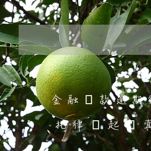 金融貸款逾期律師通告真的假的（貸款逾期委托律師起訴真的假的）