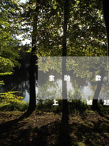 金融貸款逾期會坐牢嗎(金融貸款逾期多久以上會被起訴)