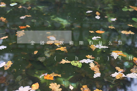 金融貸款逾期有什么影響(銀行信用貸款逾期會產(chǎn)生什么后果)