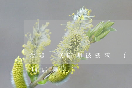 金融貸款逾期被要求結(jié)清(貸款逾期后果)