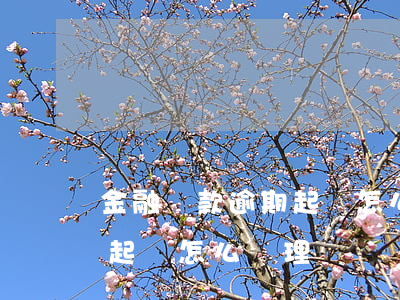 金融貸款逾期起訴怎么辦(住房貸款逾期銀行起訴怎么處理)