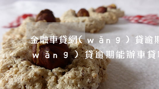金融車貸網(wǎng)貸逾期怎么辦(網(wǎng)貸逾期能辦車貸嗎)