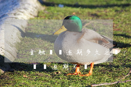 金融車貸逾期多久之內(nèi)沒事（金融車貸逾期不還）