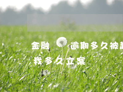 金融車貸逾期多久被起訴(車貸逾期銀行起訴我多久立案)