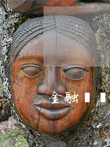 金融車貸逾期(金融車貸逾期多久會被起訴)
