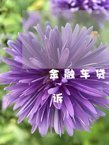 金融车贷逾期起诉保全(车贷逾期担保人被起诉)