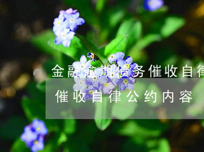 金融逾期债务催收自律公约-金融逾期债务催收自律公约内容