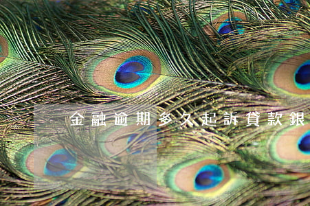 金融逾期多久起訴(貸款銀行逾期多久起訴)