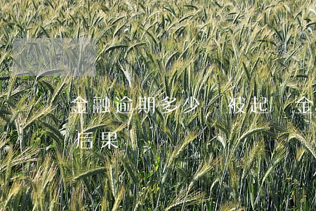 金融逾期多少會被起訴(金融逾期會造成什么后果)
