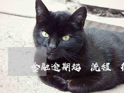 金融逾期起訴流程(銀行逾期起訴流程)