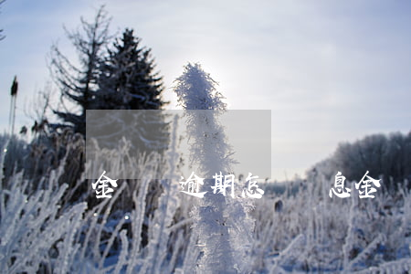 金蟬貸逾期怎樣罰息(金蟬貸逾期怎樣罰息)
