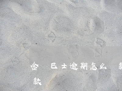 金豬巴士逾期怎么還款(金豬巴士逾期怎么還款)