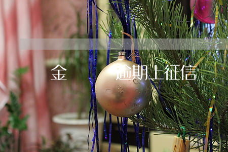 金貝網貸逾期上征信嗎(貝貝錢上征信嗎)
