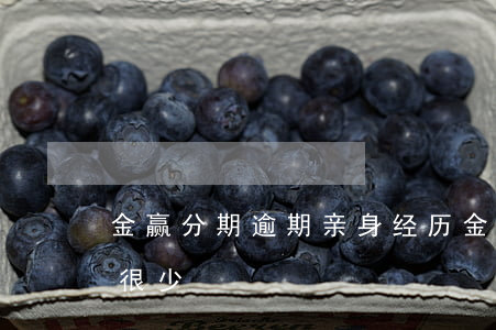 金赢分期逾期亲身经历(金赢分期最近下款的很少)