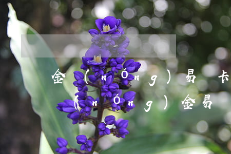 金農(nóng)易貸卡逾期2天還款(安徽農(nóng)金易貸卡晚還一天)