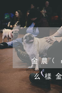 金農(nóng)易貸逾期會(huì)怎么樣(金農(nóng)易貸逾期兩天拉征信嗎)
