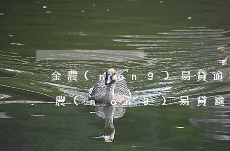 金農(nóng)易貸逾期會不會被起訴 金農(nóng)易貸逾期還了還能繼續(xù)使用么