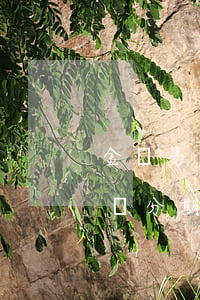 金農易貸分期怎么看不到還款金額-金農易貸分期怎么看不到還款金額了