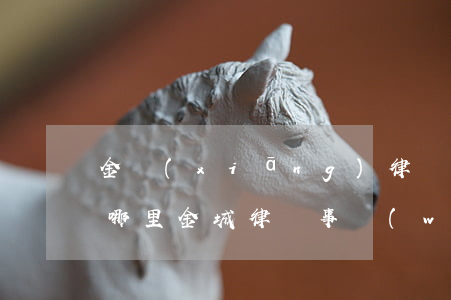 金鄉(xiāng)律師事務(wù)所在哪里(金城律師事務(wù)所地址)