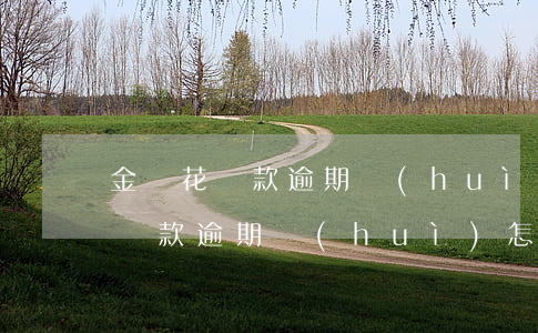 金銀花貸款逾期會(huì)怎么樣(金銀花貸款逾期會(huì)怎么樣)