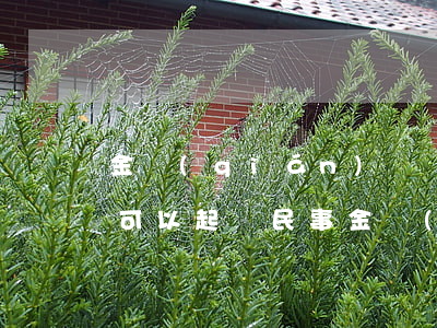 金錢(qián)糾紛多少錢(qián)可以起訴(民事金錢(qián)糾紛怎么處理)