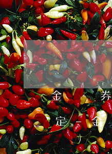 金錢債券逾期支付利息的法律規(guī)定-金錢債券逾期支付利息的法律規(guī)定有哪些