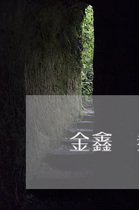 金鑫證券投資基金(金鑫基金凈值)