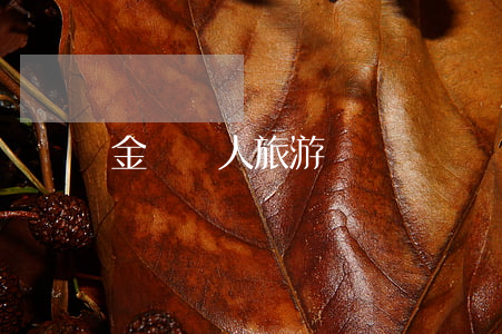 金門個人旅游