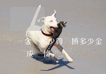 金額多少算賭博(多少金額以上構(gòu)成賭博)