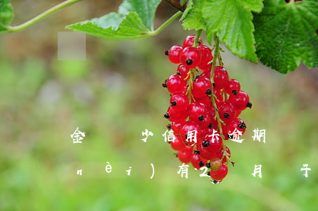 金額較少信用卡逾期兩個月(信用卡5年內(nèi)有2個月處于逾期狀態(tài))