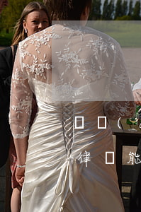 針對(duì)律師的罪名(請(qǐng)律師能減輕罪名嗎)