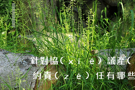 針對協(xié)議產(chǎn)生的違約責(zé)任有哪些