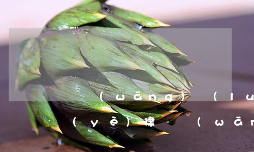 針對網(wǎng)絡(luò)平臺的專業(yè)律師(網(wǎng)絡(luò)律師事務(wù)所)
