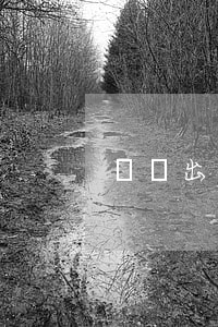 鉬鐵出口配額管理是出口限制政策的深化