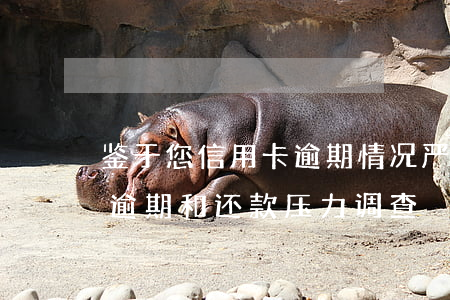 鉴于您信用卡逾期情况严重 实地核访（信用卡逾期和还款压力调查）