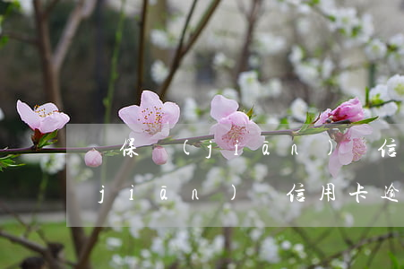 銀保監(jiān)會信用卡逾期(銀保監(jiān)會信用卡逾期會不會減免)