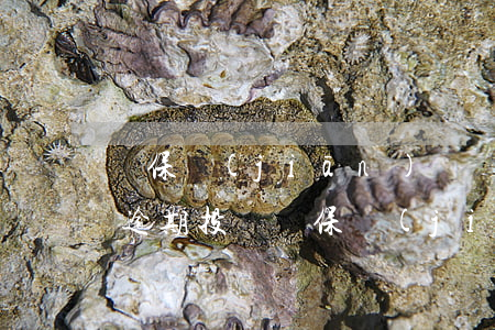 銀保監(jiān)會貸款逾期90天(貸款逾期投訴銀保監(jiān))