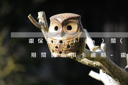 銀保監(jiān)關(guān)于疫情期間的信用卡逾期-銀保監(jiān)關(guān)于疫情期間的信用卡逾期怎么處理