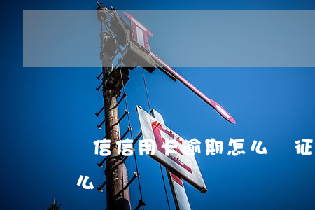 銀信信用卡逾期怎么辦(征信有信用卡逾期怎么辦)
