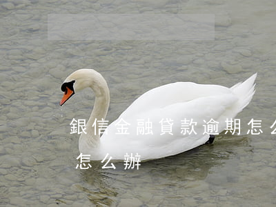 銀信金融貸款逾期怎么辦(銀行信用貸逾期了怎么辦)